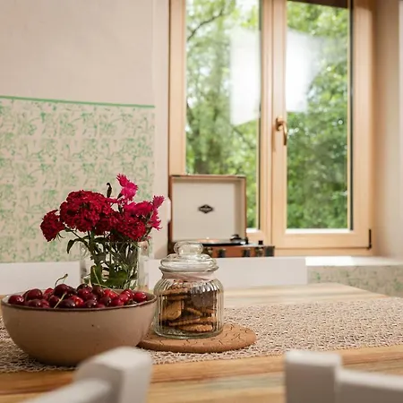 Island In Savinja Valley * Žalec