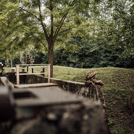 Island In Savinja Valley