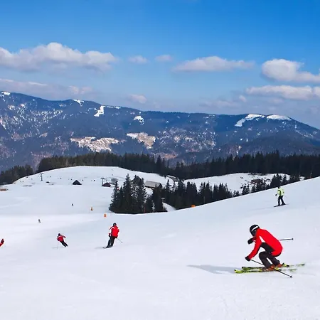 別荘 Island In Savinja Valley *