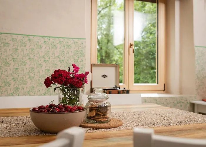 Island In Savinja Valley * Žalec