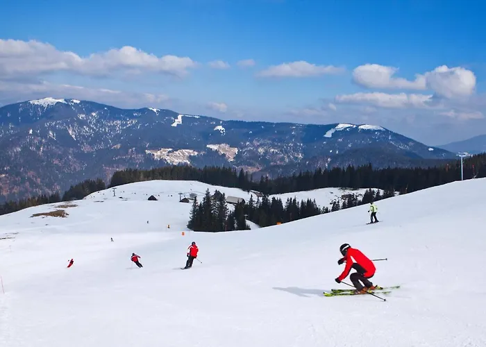 Feriehus Island In Savinja Valley *